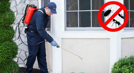 Zeytinalanı Hamam Böceği İlaçlama böcek ilaçlama ve haşere kontrolü — ilaclama-tr.com